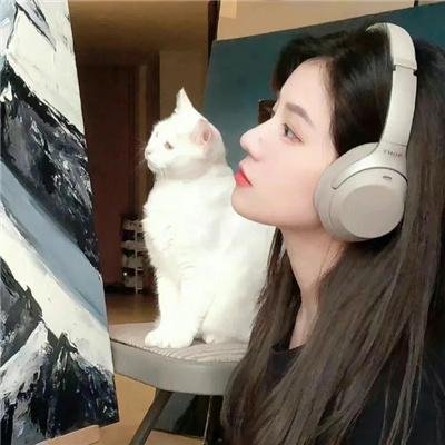 寻觅